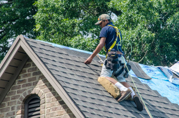 Best Roof Repair Services  in Lockport, NY